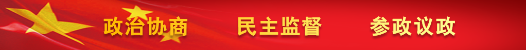 政治协商 民主监督 参政议政